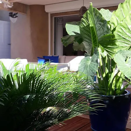 La Tamarissime 아파트 *